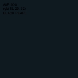 #0F1920 - Black Pearl Color Image